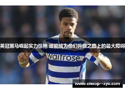 英冠黑马崛起实力惊艳 谁能成为他们升级之路上的最大障碍