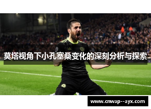 莫塔视角下小孔塞桑变化的深刻分析与探索