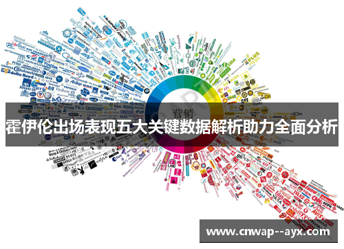 霍伊伦出场表现五大关键数据解析助力全面分析