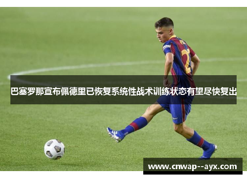 巴塞罗那宣布佩德里已恢复系统性战术训练状态有望尽快复出