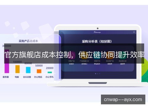官方旗舰店成本控制，供应链协同提升效率
